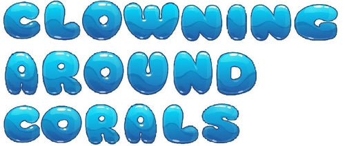 Clowning Around Corals